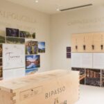 Non guided tour of the wine museum and amarone tasting - Who will enjoy this experience?