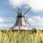 Nordstrand: Day trip by boat to Föhr - The Value of This Experience
