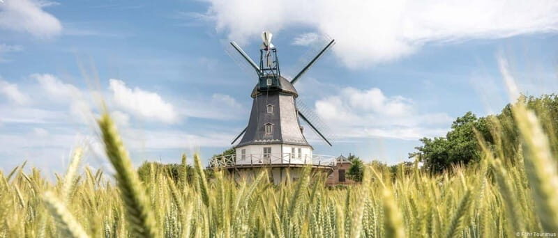 Nordstrand: Day trip by boat to Föhr - The Value of This Experience