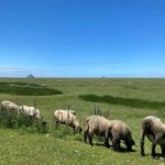 Normandy: Private Guided Tour with a Local Expert - The Balance of Value and Experience