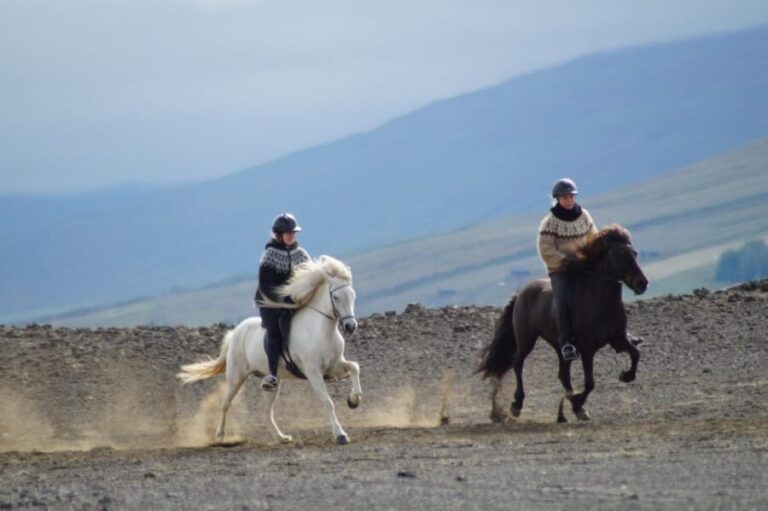 North Iceland: Horseback Riding Tour - Exploring the Landscape: What You’ll See and Experience