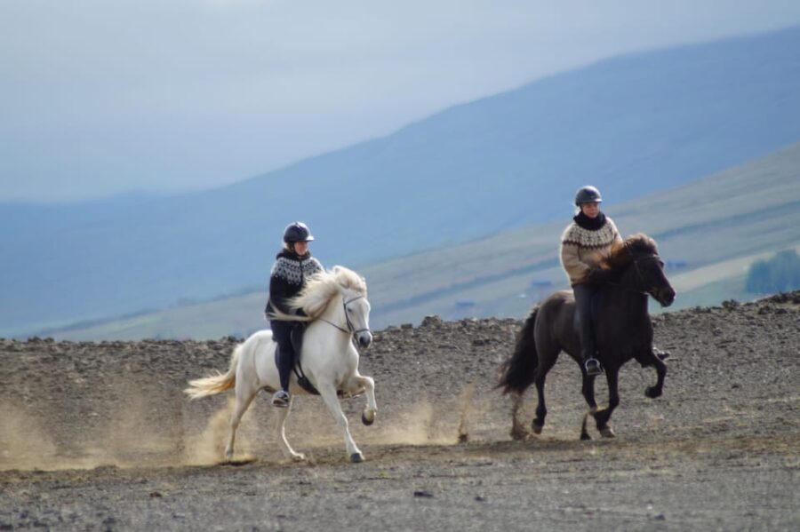 North Iceland: Horseback Riding Tour - Exploring the Landscape: What You’ll See and Experience