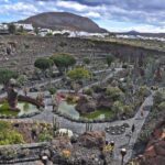 North Lanzarote: The Work of César Manrique - Botanical Wonders and Cultural Stops