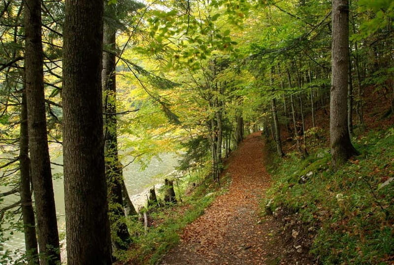 NORTH OF MONTENEGRO The heart of Montenegro! - What’s Included and What to Consider