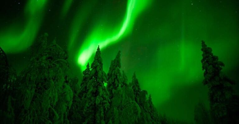 Northern Lights Hunting Adventure in Lapland - Who Would Love This Tour?