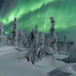 Northern Lights Hunting with Aurora Workshop - Authentic Experiences and Insights