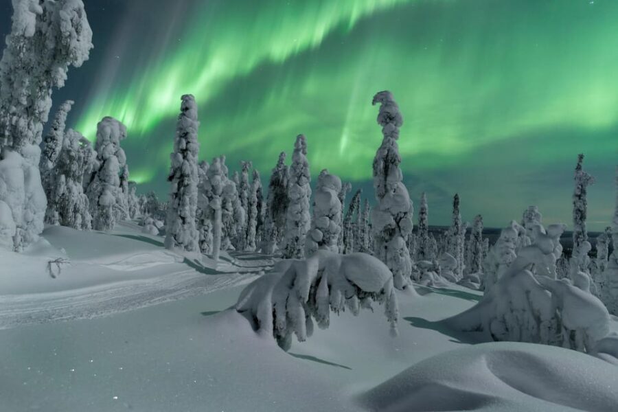 Northern Lights Hunting with Aurora Workshop - Authentic Experiences and Insights