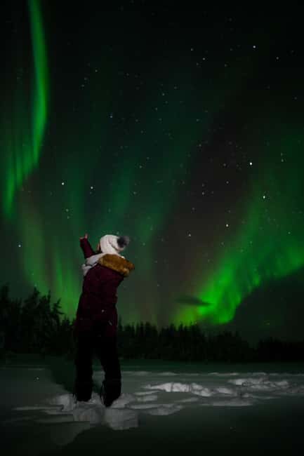 Northern Lights Reindeer Sledge Ride - Who Should Consider This Tour?