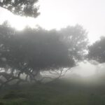 NorthWest's 50 shades of green, rock pools & waterfalls Tour - The Itinerary in Detail