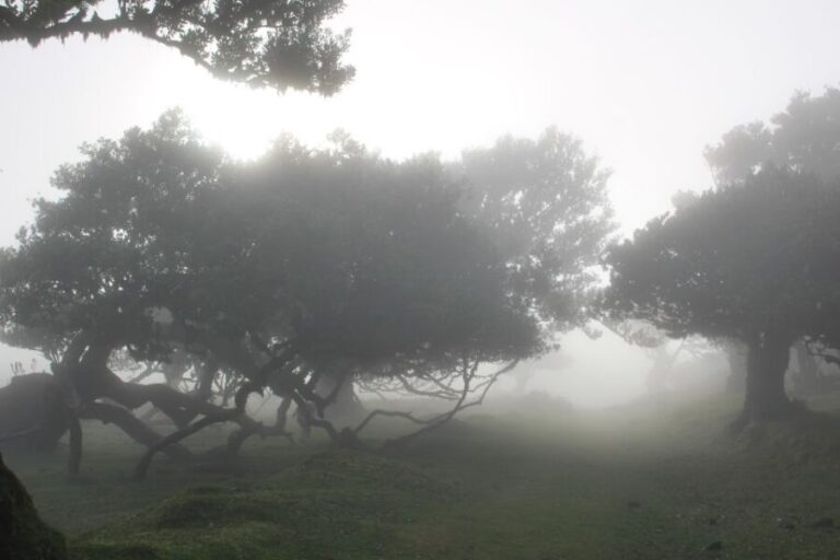 NorthWest's 50 shades of green, rock pools & waterfalls Tour - The Itinerary in Detail