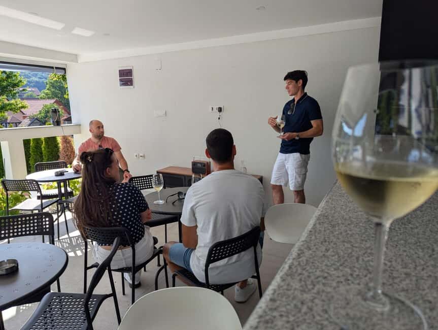 Novi Sad: Fruka Gora Wine Tasting with Local Bites - The Setting and Atmosphere