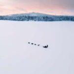 Nulkki Husky Adventure - The Value of the Experience