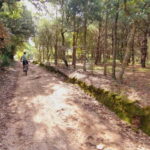 Óbidos: E-Bike Tour to Quinta do Gradil with Wine Tasting - What’s Included and What’s Not