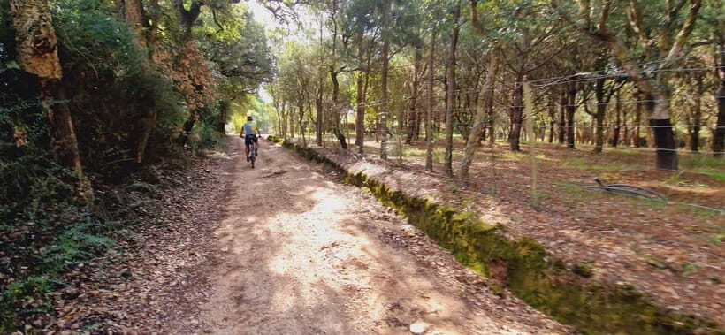 Óbidos: E-Bike Tour to Quinta do Gradil with Wine Tasting - What’s Included and What’s Not