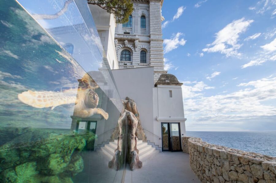 Oceanographic Museum of Monaco Ticket - The Experience in Depth: What Sets It Apart
