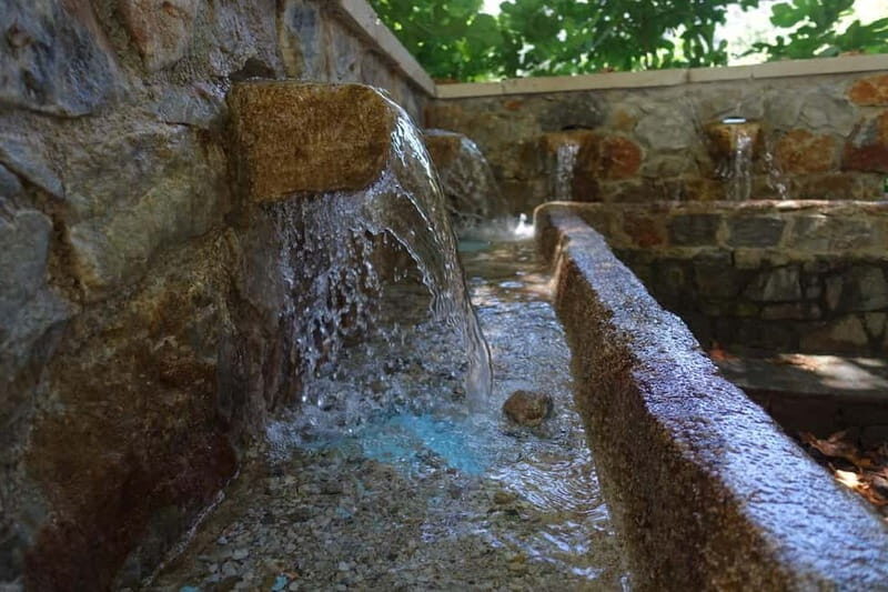 Off-Road: Natural Lake, Mountain Gorges, Palm Forest & Beach - What to Expect