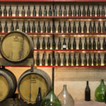 Offida: Tasting itinerary of Rosso Piceno DOC Superiore - What to Expect During the Tour