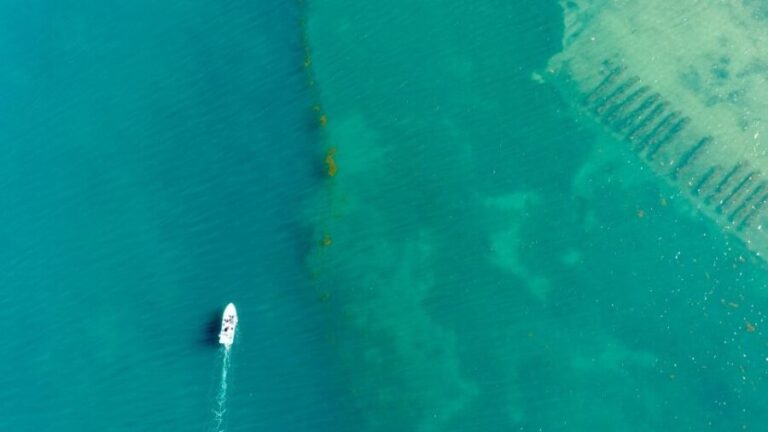 Olhão: Formosa Rota 2H - An In-Depth Look at the Ria Formosa Tour