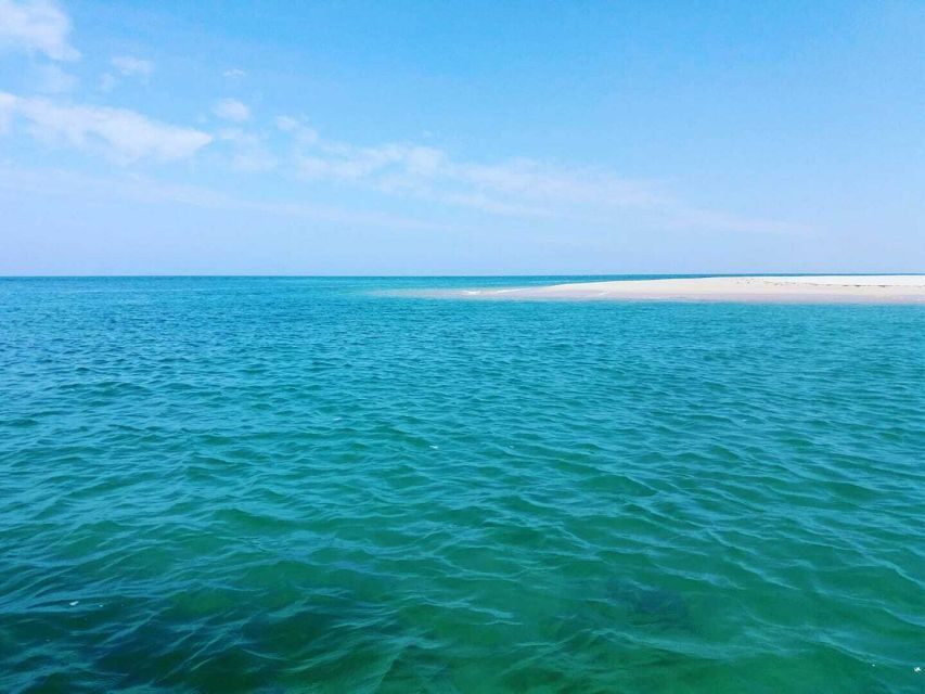 Olhão: Private Boat Tour to Ria Formosa - An In-Depth Look at the Ria Formosa Private Boat Tour