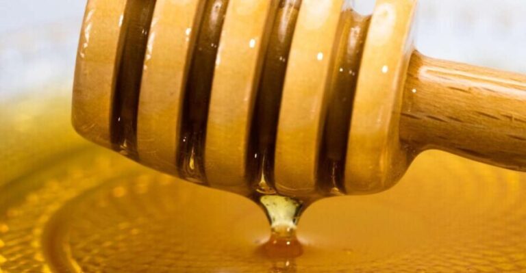 Olicatessen Greek Honey Tasting in Thessaloniki - What Makes This Honey Tasting Special
