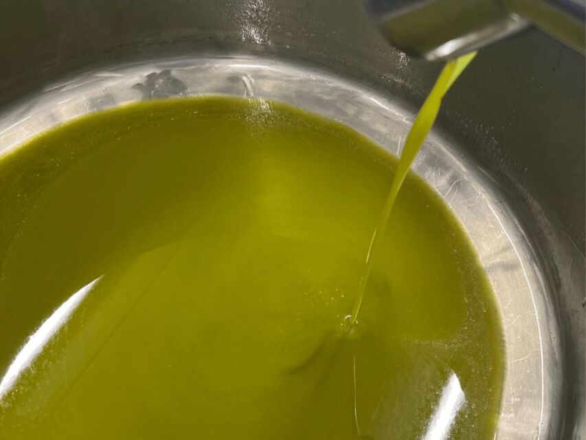 Olive Mill Tour and Tasting in the Padua Hills - The Practicalities: What You Need to Know