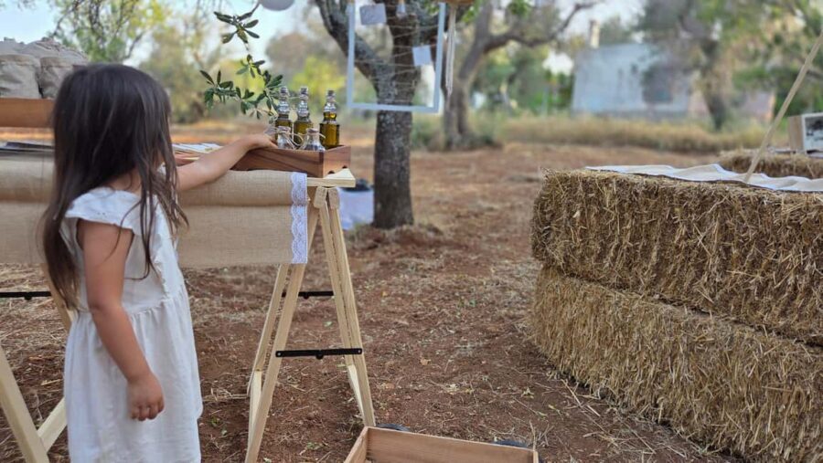 Olive Oil and almond Tour and Tasting: Brindisi, Ostuni - A Detailed Look at the Tour Experience