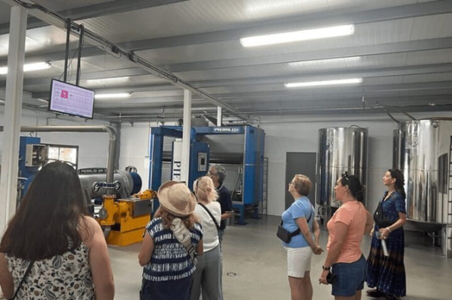 Olive Oil Factory from Sevilla Private Tour - Why This Tour Works Well