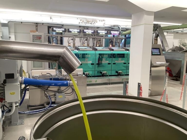 Olive Oil Mill Tour & EVO Oils Tasting - Sarteano, Tuscany - What to Expect from the Tour