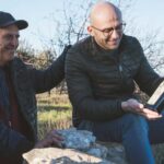 Olive Oil Mill Tour with Tasting and Gift near Bari - Practical Details and Tips