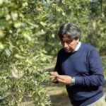 Olive Oil Mill Tour with Tasting near Bari - The Sum Up