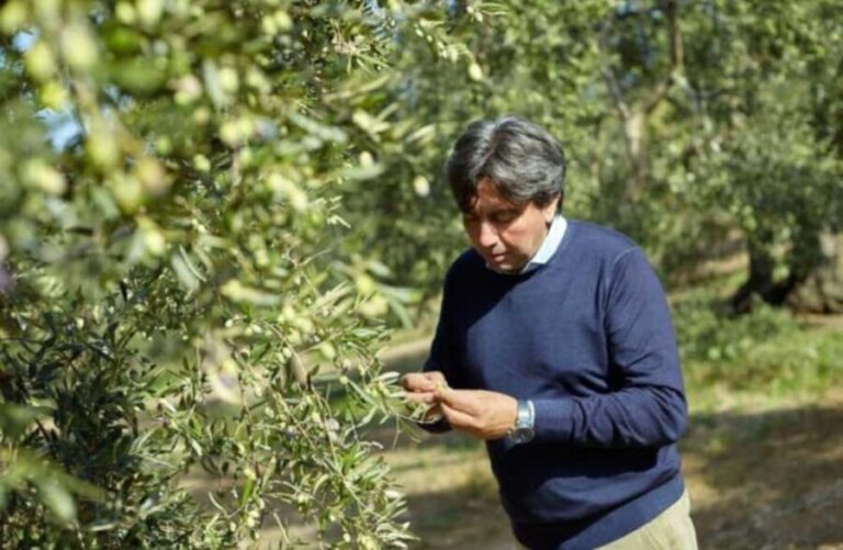 Olive Oil Mill Tour with Tasting near Bari - The Sum Up