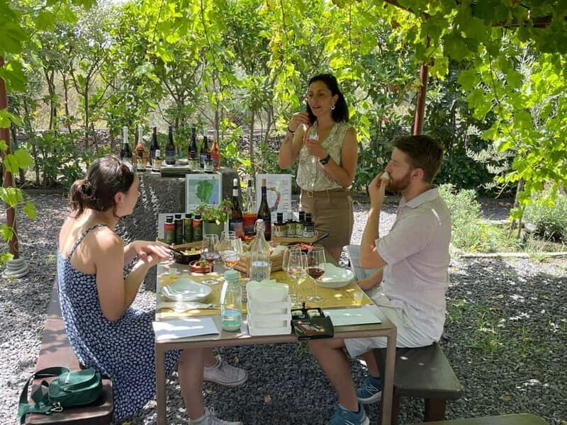 Olive Oil Tasting Experience in Nicolosi - Exploring the Tour Itinerary