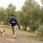 OLIVE OIL & WINE TOUR Organic fields - 5 Wines + 3Olive Oils - Analyzing the Value