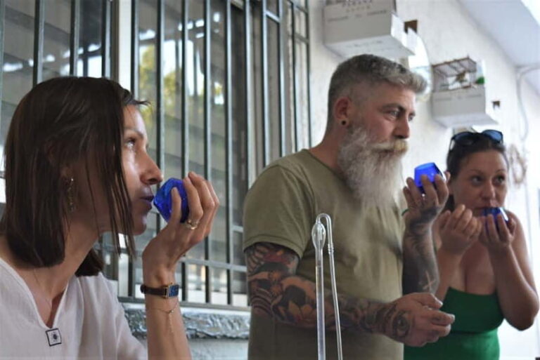 Olives & Olive Oil & Wine Tasting (3 in 1 Experience!) - A Closer Look at the Tour Experience