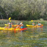 Omi/Split: 4h Kayaking in Cetina Protected Nature Park Area - Who Will Love This Tour?