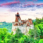 One day trip Bear Sanctuary, Dracula Castle - The Value of This Tour