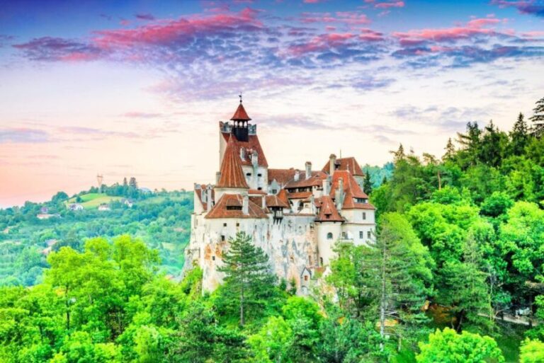 One day trip Bear Sanctuary, Dracula Castle - The Value of This Tour