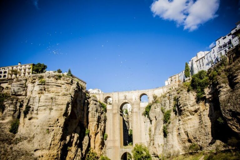 One Day Trip Ronda From Málaga - Who Will Love This Tour?