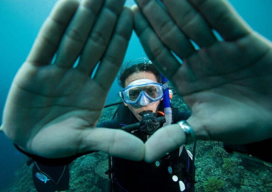 One Scuba Diving Day Trip to Costa Brava - Why This Tour Offers Great Value