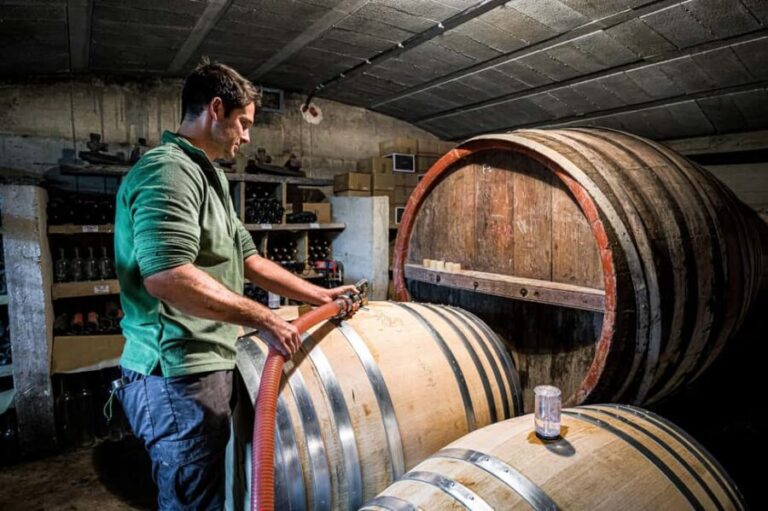 Oppède: Olive Oil Museum Visit - Exploring the Oppède Olive Oil Museum: What to Expect