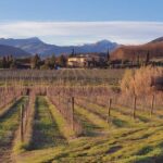 Organic and Biodynamic Winery Tour and Tasting in Lucca - Exploring the Itinerary: What Makes It Special?