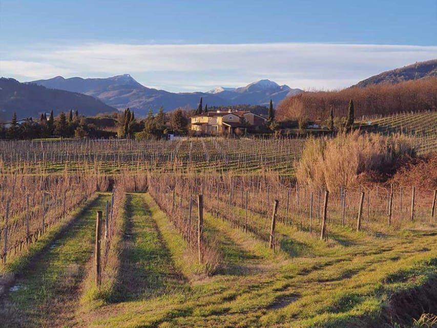 Organic and Biodynamic Winery Tour and Tasting in Lucca - Exploring the Itinerary: What Makes It Special?