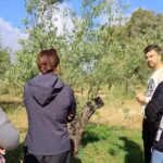 Organic olive oil tasting and visit to a family olive grove with fruit and a gift - Practical Details & Tips