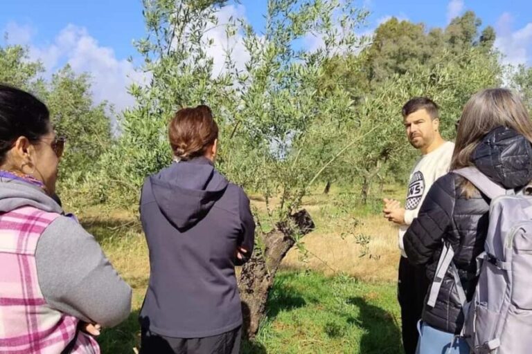 Organic olive oil tasting and visit to a family olive grove with fruit and a gift - Practical Details & Tips