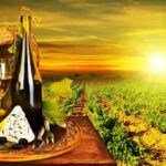 Organic Wine Tasting with Saint paul Half Day Tour from Nice - What Sets This Tour Apart
