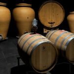 Organic Winery Visit near Turin with Wine & Food Tasting - The Itinerary: What You Can Expect
