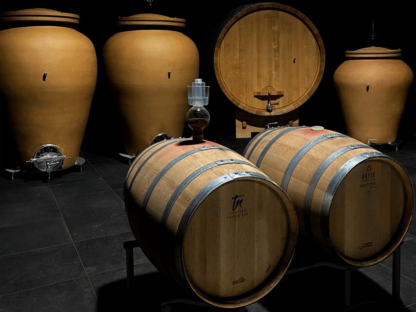 Organic Winery Visit near Turin with Wine & Food Tasting - The Itinerary: What You Can Expect