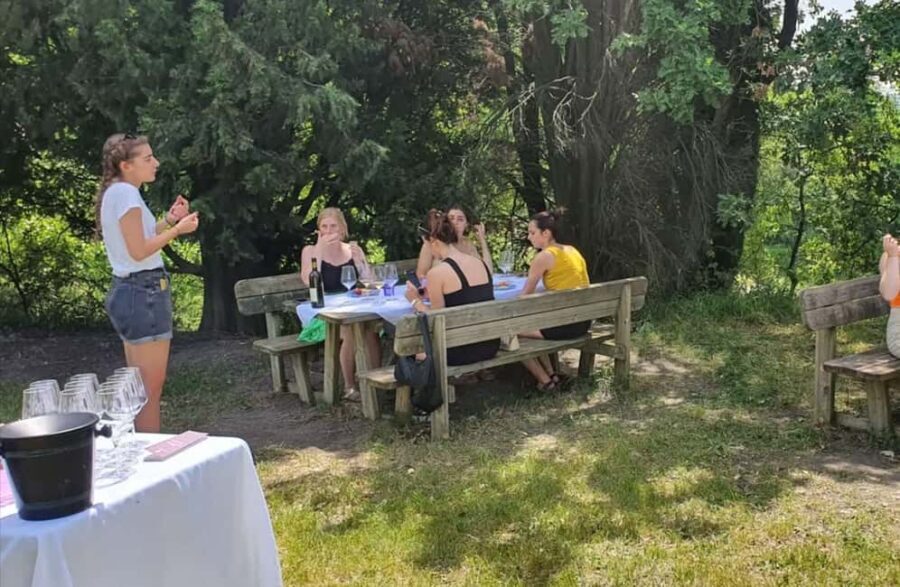 Organic Winery Visit with Wine & Food Tasting in Bologna - Who Should Book This Tour?