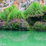 Original Crete: Kourtaliotis, Preveli, Plakias, Argyroupoli - The Real Experience: What Reviewers Say