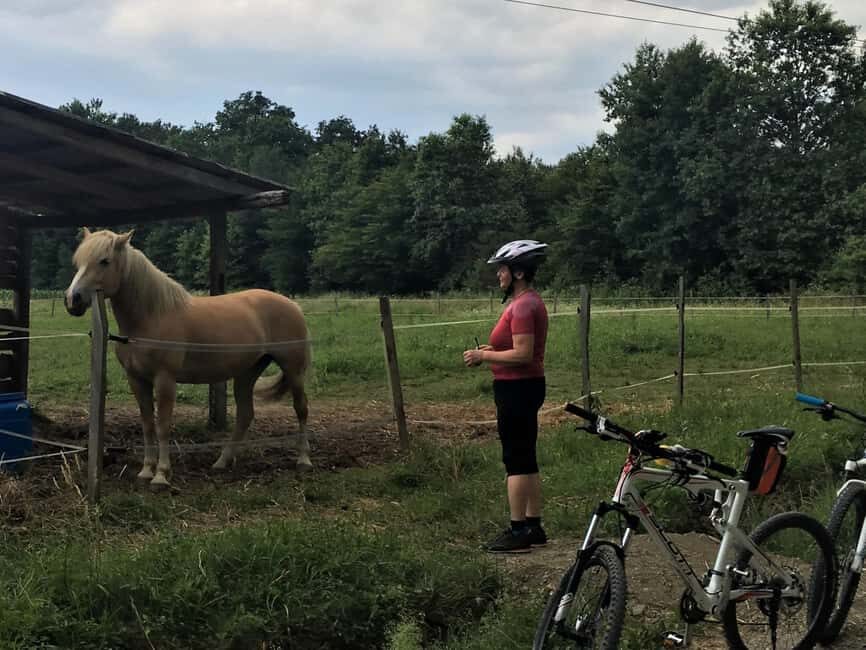 Oroslavje: Oroslavje i Stubike Toplice biciklom - Final Thoughts